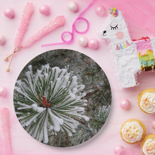 新しい松の球果 ペーパープレート (パーティー)