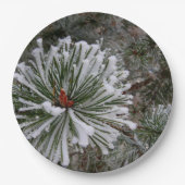 新しい松の球果 ペーパープレート (正面)
