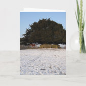 新しい森林子馬のクリスマスカード シーズンカード (裏面)