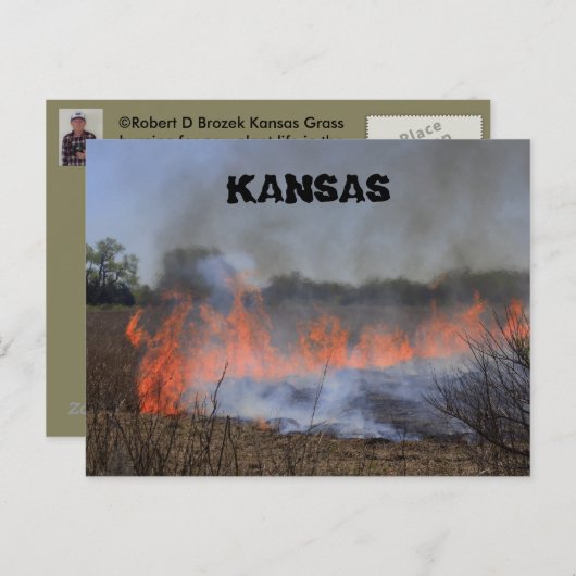新しい植物のライフポストカードのためのカンザスグラス燃焼 ポストカード (正面/裏面)
