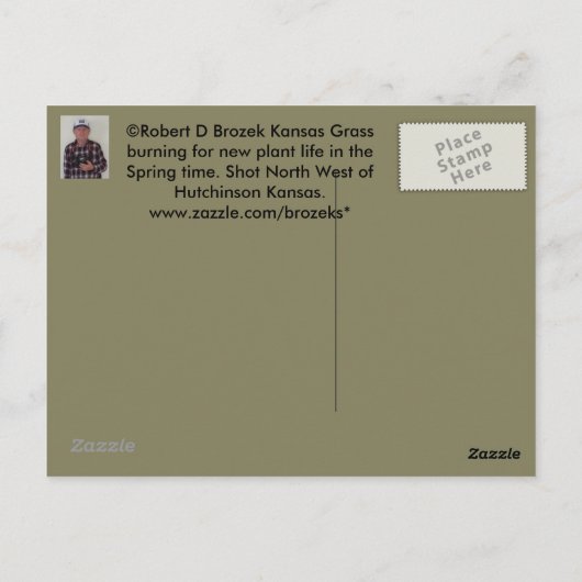 新しい植物のライフポストカードのためのカンザスグラス燃焼 ポストカード (裏面)