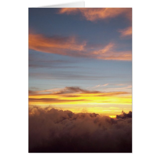 新しい毎朝 (正面)