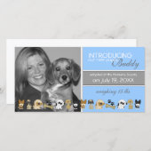 新しい犬の採用の発表 案内状 (正面/裏面)