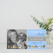 新しい犬の採用の発表 案内状 (スタンド正面)