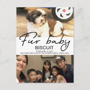 新しい犬の毛皮ベビー発表 ポストカード