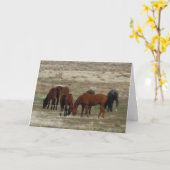 新しい獣医へのおめでとう- RanchまたはFarm DVM カード (黄色い花)