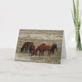 新しい獣医へのおめでとう- RanchまたはFarm DVM カード (正面)