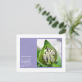 新しい生命の詩 ポストカード (スタンド正面)