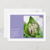 新しい生命の詩 ポストカード (正面/裏面)