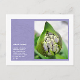 新しい生命の詩 ポストカード