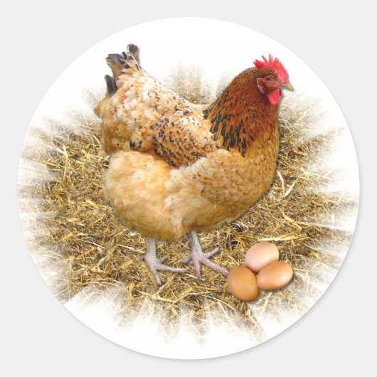 新しい産卵～エンベロープシーラー/シール ラウンドシール (正面)