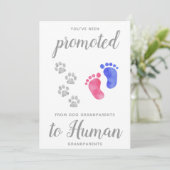 新しい祖父母の妊娠から昇進する 案内状 (スタンド正面)