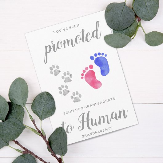 新しい祖父母の妊娠から昇進する 案内状