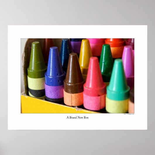 新しい箱ポスター ポスター (正面)