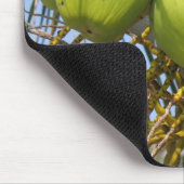 新しい緑のココナッツ マウスパッド (コーナー)