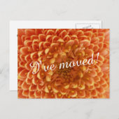 新しい自宅の引越しはがき | 花の写真を閉じる 案内ポストカード (正面/裏面)