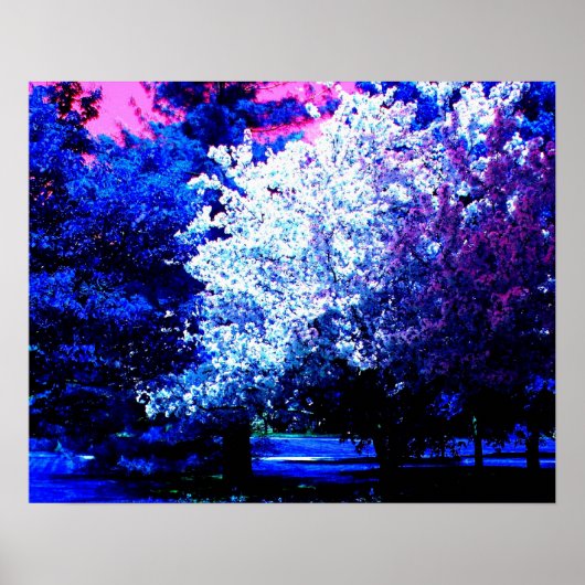 新しい色の春 ポスター (正面)