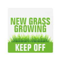 新しい草が生え保ている