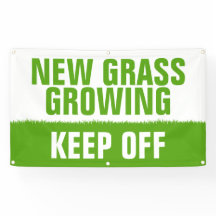 新しい草が生え保ている