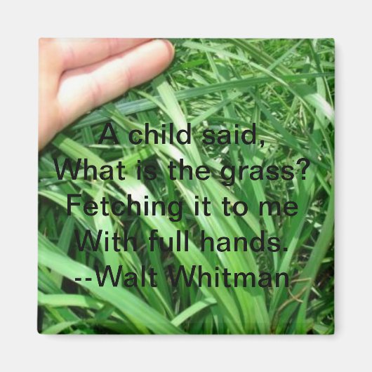 新しい親マグネットセット5/5 マグネット (正面)