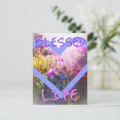 新しい賛美ライフはがき ポストカード (スタンド正面)