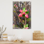 新しい赤い芽 ポスター (キッチン)