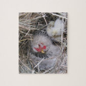 新しい雛を連れたマザーヘン ジグソーパズル (縦)