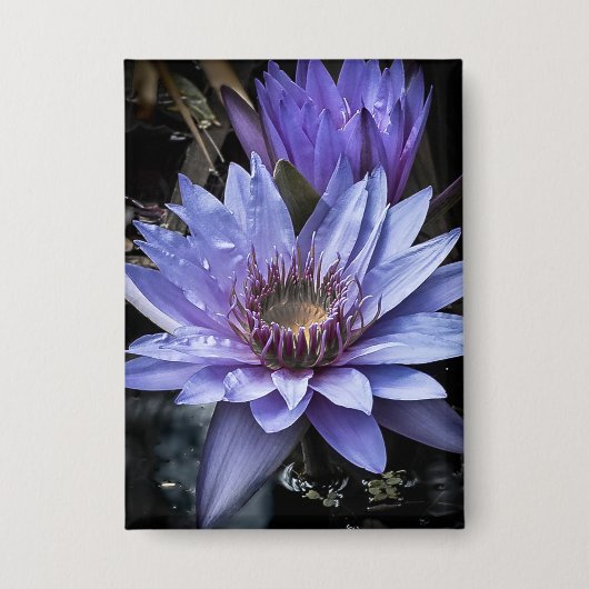 「新しい青」ボタン 缶バッジ (正面)