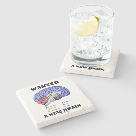 新しい頭脳の解剖頭脳のユーモアがほしいと思いました ストーンコースター (横)