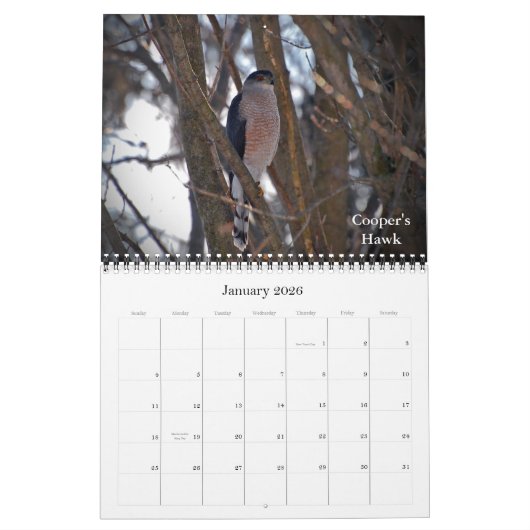 新しい高さへの上昇 カレンダー (1月 2026)