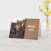 新しい10代の若者がカードを交換する カード (黄色い花)