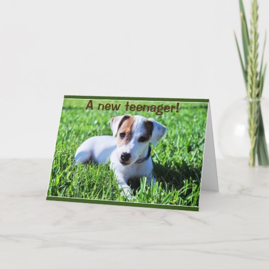 新しい10代の若者が***13***カードを回す カード (正面)