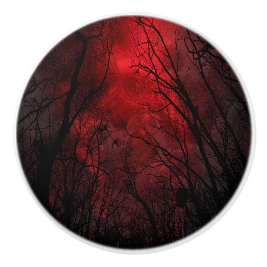 新しい2陶磁器のノブ セラミックノブ (正面)