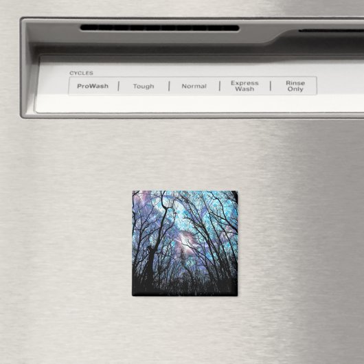 新しい4大角磁石 マグネット (インサイチュ (食洗機))