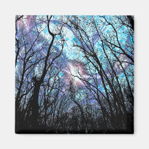 新しい4大角磁石