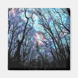 新しい4大角磁石 マグネット