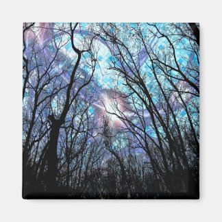 新しい4大角磁石 マグネット