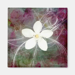 新しい5大角磁石 マグネット