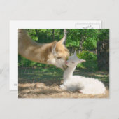 新しいCriaはがき ポストカード (正面/裏面)