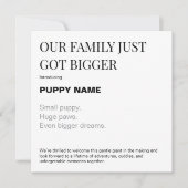 新しく家族になった子犬の写真入りお知らせカード シーズンカード (正面)