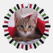 新しく家族に加わった子猫のクリスマス オーナメントカード (正面)