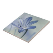 新しく青い花の写真 タイル (側面)