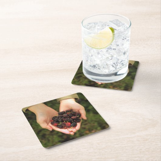 新しく、甘いクワの果実の握り スクエアペーパーコースター (インサイチュ)