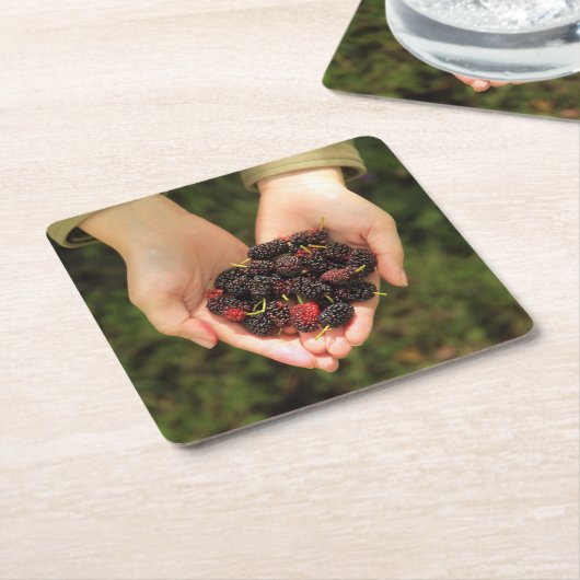 新しく、甘いクワの果実の握り スクエアペーパーコースター (アングル)