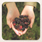 新しく、甘いクワの果実の握り スクエアペーパーコースター (正面)