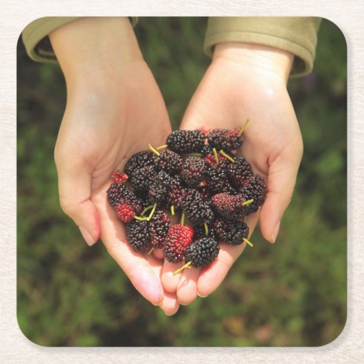 新しく、甘いクワの果実の握り スクエアペーパーコースター (正面)