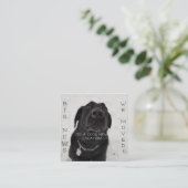 新しカッコいいい場所!ポストカード エンクロージャーカード (スタンド正面)