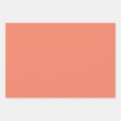 「新し包まれたい:実りある喜びの贈り物紙」 ラッピングペーパーシート (正面3)