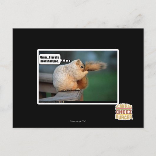 新しloveいシャンプーだ ポストカード (正面)