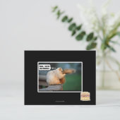 新しloveいシャンプーだ ポストカード (スタンド正面)